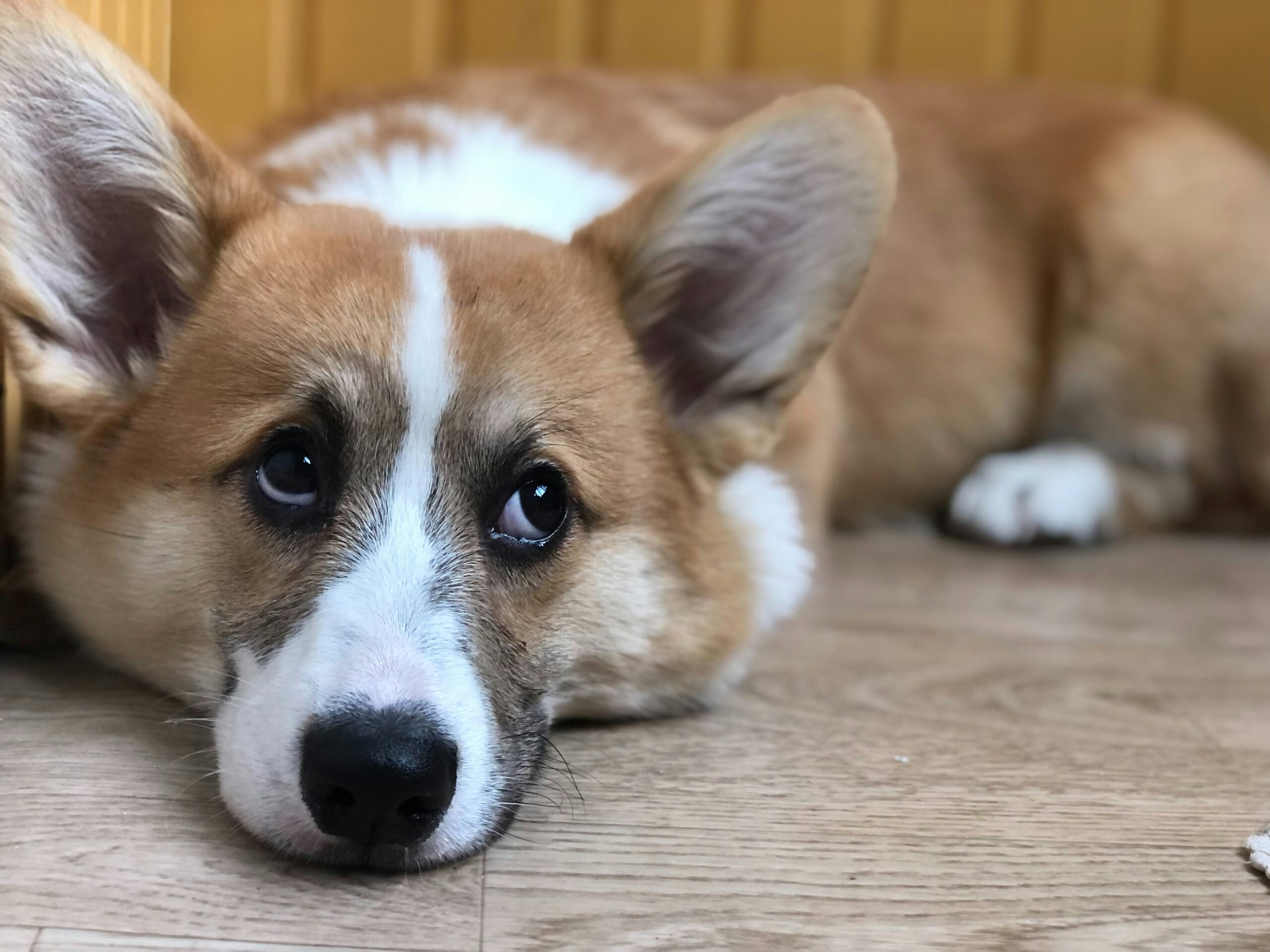 Car Accident Lawyer Edinburg Software Development Romania Head On Car Accident Attorney VPA Instructure AAI.edu Keiser Student Is Keiser a Good University What is System IO Keiser University Course Schedule Phemex in USA Keiser University Directions Banks Power Promo Code Keiser University Lawsuit The Athletic $1 Keiser University Deadlines Is Keiser University Regionally Accredited Scentsit Tunercult Coupon Keiser Cost CollegeCentral/Keiser Is Keiser University Legit VacationOffer.com Reviews Go High Level Marketing Vacation Offers Reviews Vantiv Customer Service 1-800-Ask-Gary Reviews Acceptance Rate for Keiser University Chrome PKG Download AAI.edu Keiser University Commercial Verizon Government Sales Verizon MSI Keiser University Student Population Is Keiser University Private or Public Keiser University Help Desk Keiser University Undergraduate Catalog Olay Brand in USA Chrome MSI File Miller Motte Tulsa Verizon Federal Is Vacation Offer Legit Reddit Dara Bricks ApexFunded Apex Prop Trading Verizon Public Sector Keiser University Withdrawal Policy Banks Power Discount Dell Premier Keiser University Gym Where is Keiser University Main Campus Where is Keiser Keiser University Scam Is Keiser Accredited Xpert Rating Arizona Automotive Institute Cost Athlete Discount Keiser University President How Much Money Does Disney Make in a Day How Many Students Attend Keiser University What is Systeme Banks Power Promo Codes Keiser University Class Schedule Android Store Data Mike Filsaime Okta Device Trust Certificate Keiser University Students Keiser Doral Keiser University Lake Underhill Keiser University Bursar Office Systeme.ii What Does Go High Level Do Download Chrome ADMX The Athletic Special Offer Keiser University Loan Forgiveness Program Keiser University Largo Keiser University Notable Alumni Backup in Linux System Me Verizon Wireless Government Support Smidge Promo Code Is Keiser University Good Uptodate Mounjaro Google MSI Download What is Keiser University Known For The Athletic Discount Code Dell Premiere Keiser University Employee Benefits Keiser University Employee Handbook Keiser Calendar Verizon Wireless Government Sntsy Stephen Matthews MD Colorado Keiser BB Whats Scentsy Databricks Distributed Computing Dell Priemer What is Systeme IO Sistem IO Car Accident Lawyer Near Me